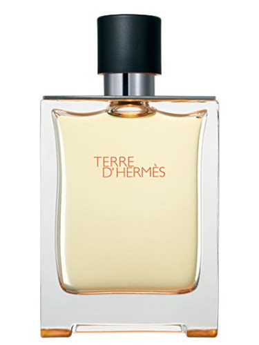 terre hermes cologne 2006